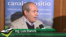 TV: ¿Por qué crece a mayor velocidad el agro en Paraguay y en Perú?; con Luis Bianchi