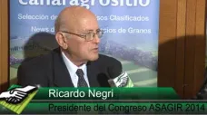 TV: ¿Podemos empujar para arriba al Girasol motivando a los productores?; con Ricardo Negri