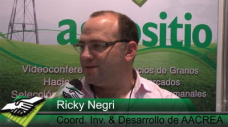 TV: Ricky Negri y el aporte de CREA en Investigación y el Desarrollo a la cadena del maíz