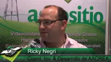 TV: Ricky Negri y el aporte de CREA en Investigación y el Desarrollo a la cadena del maíz