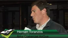 TV: No te pierdas esta charla de Asoc. AnGus sobre Bienestar Animal en Exposiciones; con Hernán Toranzos