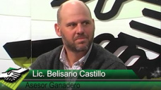 TV: Belisario Castillo analiza a cada eslabón de la cadena ganadera y el precio de la carne vs. inflación
