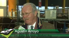 TV: Luego del record 2013, ¿Qué promedios de ventas se llevó La Braford en Palermo 2014?; con Agustín Arroyo