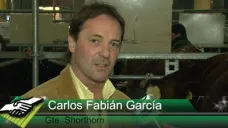 TV: Shorthorn mejora su genética para producir más carne a menor costo; con C. García