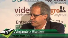 TV: ¿Cómo encararan los productores CREA una campaña complicada?; con A. Blacker - Pres. CREA