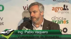 TV: 