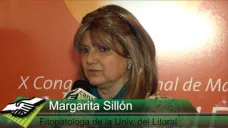 TV: Podredumbre de raíz y tallo ¿Cómo evitar las pérdidas de rendimiento en maíz?; con M. Sillón