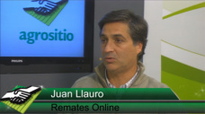 TV: ¿Cómo sigue la Invernada; Tra. 180 kg a $22,50; 250 Kg a 19,90 y Ter. 230 a 22,10?; con Juan Llauró