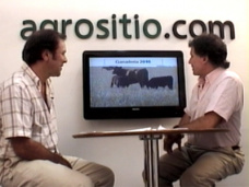 TV: 