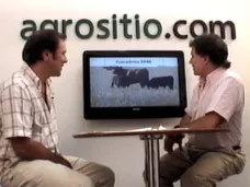 TV: 