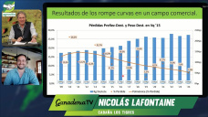 Toros “rompe curvas”: la genética que aumenta 32% los kilos por hectárea; con N. Lafontaine - Cab. Los Tigres