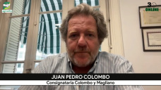 Nueva ganadería: destetar con +40 kg y vender novillos de 450 kg ya es negocio; con Juan P. Colombo - consignatario