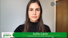 Soja: 