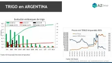 Trigo: Mucho cereal sin vender; con Lorena D´Angelo - Clínica de Granos