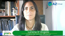 Soja: La oleaginosa vuelve a despertar?, con Lorena DAngelo - Clnica de Granos