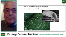 Cómo construir los escenarios de rinde en Soja en año complejo; con Jorge González Montaner
