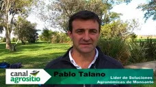 TV: Big Data y Algoritmos en la elección del mejor hibrido de maíz - con P.Talano, Dekalb