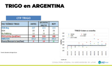 Trigo: el cereal nuevo llego a los usd 199 pero bajó después; con Lorena D´Angelo - Clínica de Granos