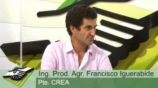 TV: ¿Cómo se preparan los CREA para una campaña con dolar planchado y 23% de inflación?; con F. Iguerabide