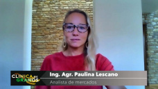 Soja: el mercado internacional se toma un respiro por unos das y logra una buena recuperacin, con Paulina Lescano - Clnica de Granos