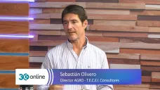 ¿Qué hacer con el Maíz ante un cosechón impresionante y precios flojos?; con Sebas Olivero