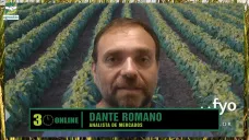 Precios bajos, márgenes finos, ¿qué pasaría si Milei saca retenciones de Trigo y 8 ptos de Soja?; con D. Romano - granos