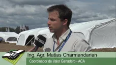 TV: 
