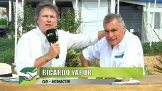 ¿Cómo ve al Gobierno un productor, agrónomo y empresario?; con Ricardo Yapur