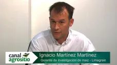 TV: 