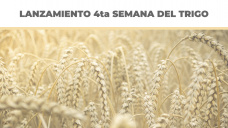 Lanzamiento 