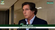 ¿Cómo planifica Ángel Rossi propietario de Establecimientos La Negra su campaña 2026/27?