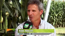 Todo lo NUEVO en semillas de maíz, girasol y soja que lanza NK esta campaña; con Raúl Paillot