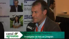 TV: 