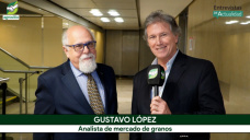 La Logística como principal limitante para las 200 Mill. t de granos; con Gustavo López - analista