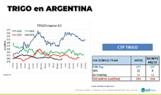 Trigo: Oportunidad para el trigo 25/26; con Lorena D´Angelo - Clínica de Granos