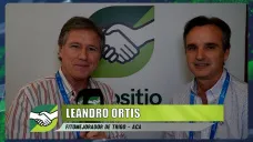 Los nuevos Trigos de ACA de amplia adaptación, tolerancia a enfermedades, y rinde; con Leandro Ortis - investigador