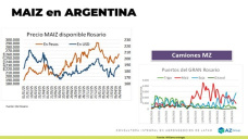 Maiz: Se sigue vendiendo maíz, pero con lenta cosecha; con Lorena D´ Angelo - Clínica de Granos