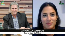 Este rumbo económico es el único, ya probamos todas las fórmulas posibles; con A. Semadeni - economista