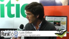 TV:  El productor va a tener posibilidades para invertir; con L. Dillon
