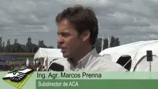 TV: 