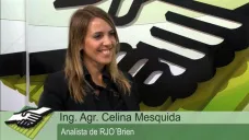 TV: ¿Pueden aumentar los granos si a EEUU le pega mal el clima?; con Celina Mesquida