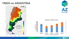 Trigo: Oferta del hemisferio norte poco impacta en Argentina, con Lorena D´Angelo - Clínica de Granos