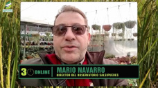 Agosto uno de los meses con ms lluvias de los ltimos 45 aos?; con Mario Navarro - clima