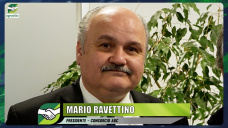 ¿Perjudica o favorece el CUARTEO al productor ganadero y al consumidor?, con Mario Ravettino - Cons. ABC