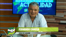 Es cierto que Alberto se entusiasm con el #BoomGanadero?; con Fernando Canosa