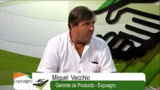 TV: 