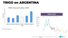 Trigo: Queda mucho del 25/26 y ya se piensa en el 26/27; con Lorena D´ Angelo - Clínica de Granos