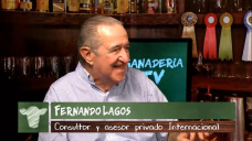 Ganad.TV B3: 