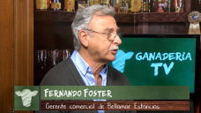 Ganad.TV B4:  