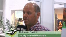 TV: ¿Mejorará la Ganadería con la apertura de nuevos mercados?; con Belisario Castillo